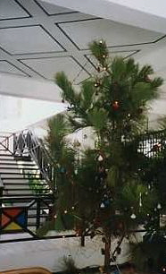 Kenya02_0304_DSR_Eingangshalle4 Kenya02_0304_DSR_Eingangshalle4